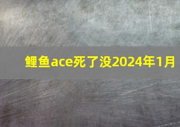 鲤鱼ace死了没2024年1月