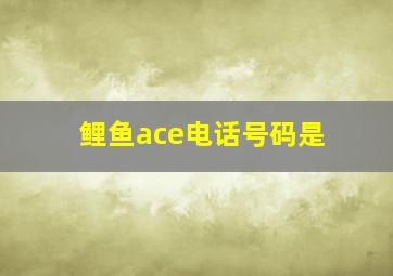 鲤鱼ace电话号码是