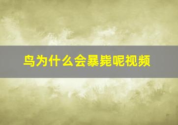 鸟为什么会暴毙呢视频