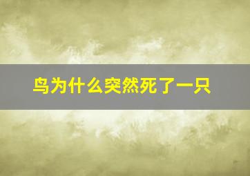 鸟为什么突然死了一只