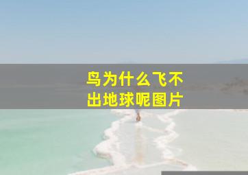 鸟为什么飞不出地球呢图片