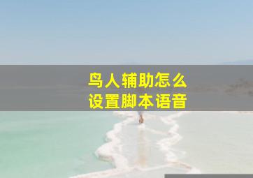 鸟人辅助怎么设置脚本语音