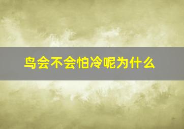 鸟会不会怕冷呢为什么