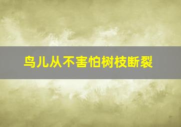 鸟儿从不害怕树枝断裂