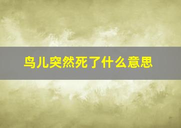 鸟儿突然死了什么意思