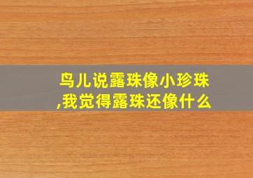 鸟儿说露珠像小珍珠,我觉得露珠还像什么