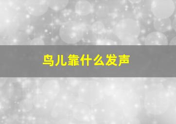 鸟儿靠什么发声