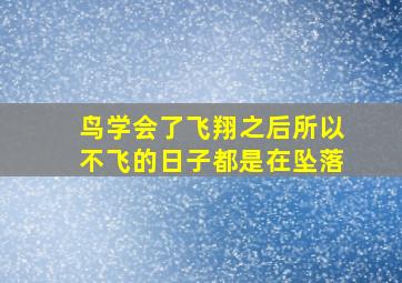 鸟学会了飞翔之后所以不飞的日子都是在坠落