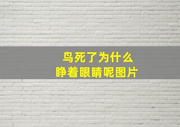 鸟死了为什么睁着眼睛呢图片