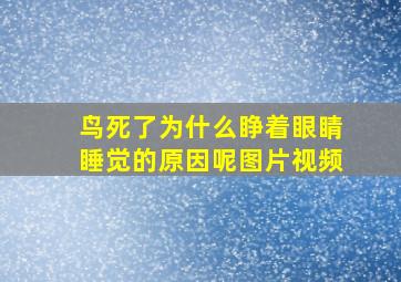 鸟死了为什么睁着眼睛睡觉的原因呢图片视频