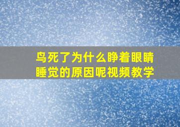 鸟死了为什么睁着眼睛睡觉的原因呢视频教学