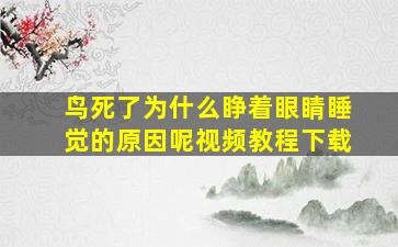 鸟死了为什么睁着眼睛睡觉的原因呢视频教程下载