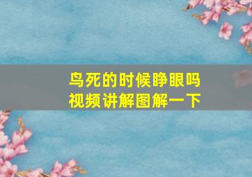 鸟死的时候睁眼吗视频讲解图解一下