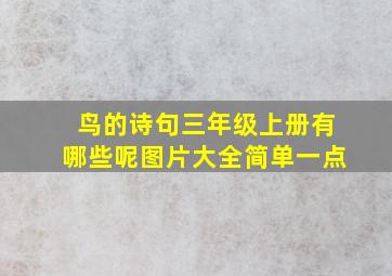 鸟的诗句三年级上册有哪些呢图片大全简单一点