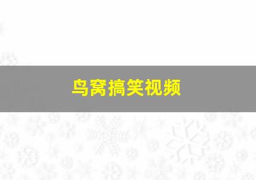 鸟窝搞笑视频