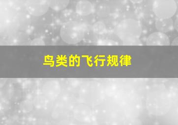 鸟类的飞行规律