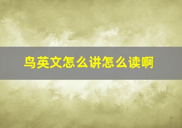 鸟英文怎么讲怎么读啊