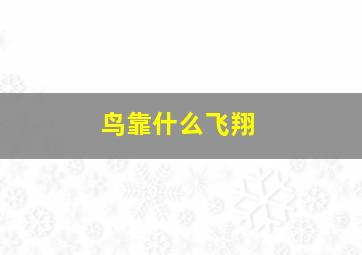 鸟靠什么飞翔