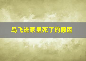 鸟飞进家里死了的原因