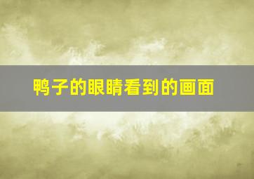 鸭子的眼睛看到的画面