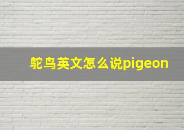 鸵鸟英文怎么说pigeon