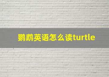 鹦鹉英语怎么读turtle