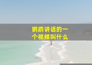 鹦鹉讲话的一个视频叫什么