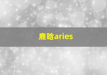 鹿晗aries