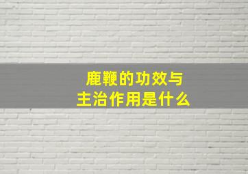 鹿鞭的功效与主治作用是什么