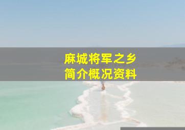 麻城将军之乡简介概况资料