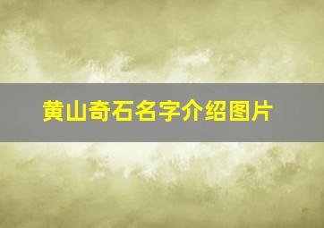 黄山奇石名字介绍图片