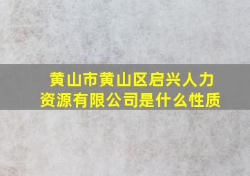 黄山市黄山区启兴人力资源有限公司是什么性质