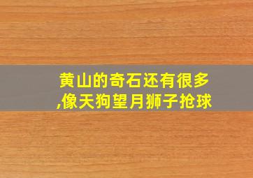 黄山的奇石还有很多,像天狗望月狮子抢球