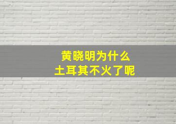 黄晓明为什么土耳其不火了呢