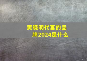 黄晓明代言的品牌2024是什么