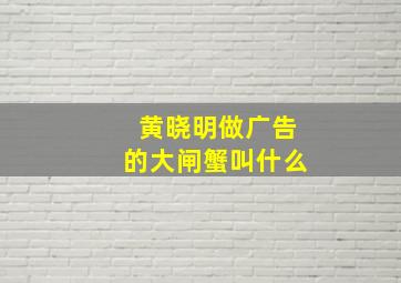 黄晓明做广告的大闸蟹叫什么