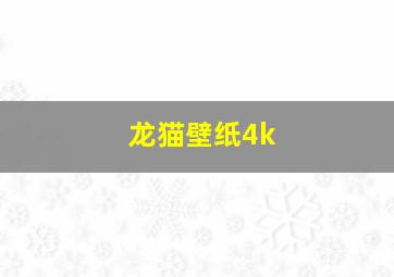 龙猫壁纸4k